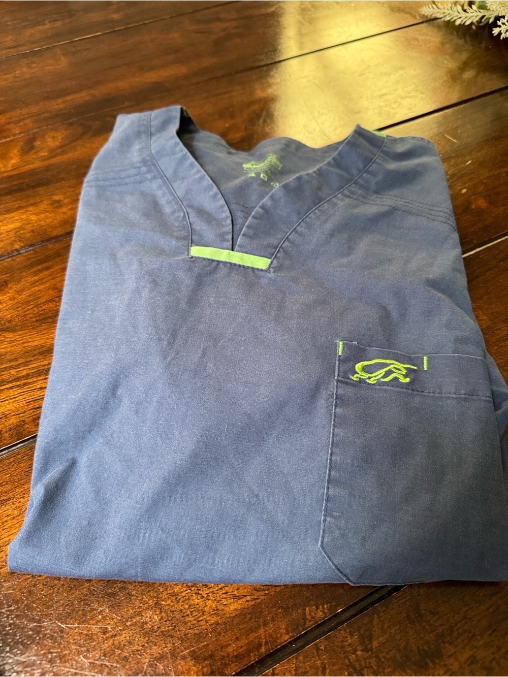 Iguana Med Scrub top